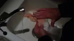 Лучше звоните Солу 2 сезон 6 серия